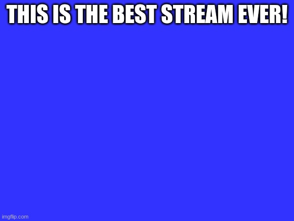 THIS IS THE BEST STREAM EVER! | made w/ Imgflip meme maker