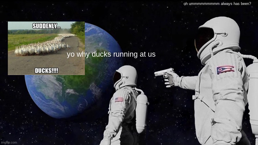 Always Has Been | oh ummmmmmmmm always has been? yo why ducks running at us | image tagged in memes,always has been | made w/ Imgflip meme maker