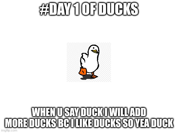 #DAY 1 OF DUCKS; WHEN U SAY DUCK I WILL ADD MORE DUCKS BC I LIKE DUCKS SO YEA DUCK | image tagged in ducks | made w/ Imgflip meme maker