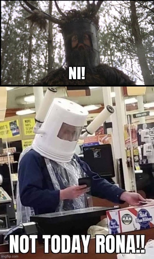 We require a shrubbery! | NI! | image tagged in knights of ni | made w/ Imgflip meme maker