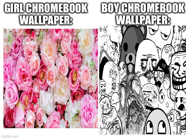 BOY CHROMEBOOK WALLPAPER:; GIRL CHROMEBOOK WALLPAPER: | image tagged in relatable | made w/ Imgflip meme maker