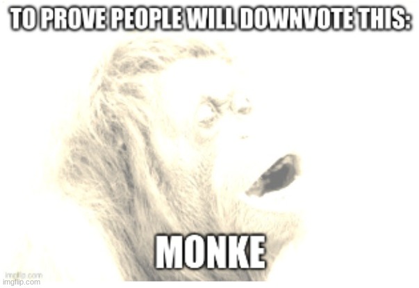 Monke | TO PROVE PEOPLE WILL DOWNVOTE THIS:; MONKE | image tagged in monke,oh wow are you actually reading these tags,please downvote | made w/ Imgflip meme maker