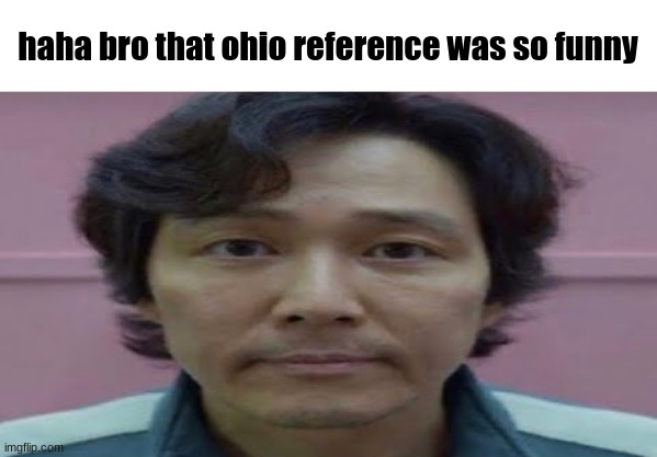:| | haha bro that ohio reference was so funny | image tagged in gi hun stare,stare,unfunny | made w/ Imgflip meme maker