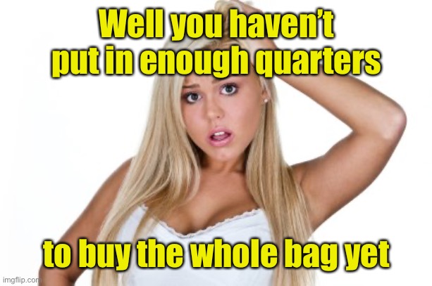 Dumb Blonde | Well you haven’t put in enough quarters to buy the whole bag yet | image tagged in dumb blonde | made w/ Imgflip meme maker