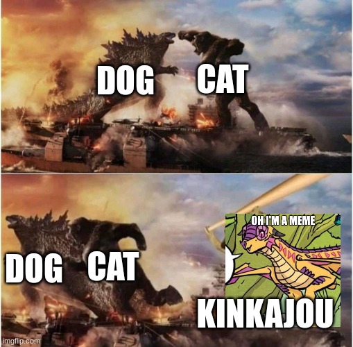 Kong Godzilla Doge | DOG CAT KINKAJOU DOG CAT | image tagged in kong godzilla doge | made w/ Imgflip meme maker