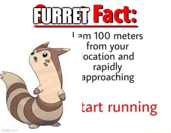 Hello there furret fans! | FURRET | made w/ Imgflip meme maker