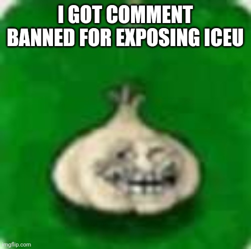 Goofy ahh site mods | I GOT COMMENT BANNED FOR EXPOSING ICEU | image tagged in troll garlic | made w/ Imgflip meme maker