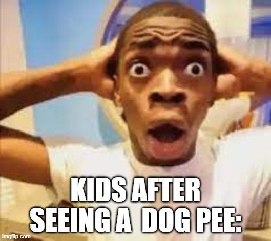 Fr | KIDS AFTER SEEING A  DOG PEE: | image tagged in kids,understandable,facts | made w/ Imgflip meme maker