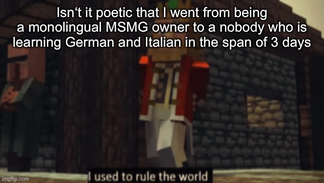 I used to rule the world | Isn‘t it poetic that I went from being a monolingual MSMG owner to a nobody who is learning German and Italian in the span of 3 days | image tagged in i used to rule the world | made w/ Imgflip meme maker