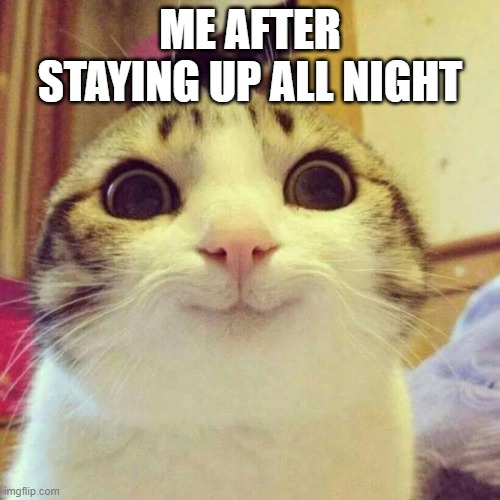 Smiling Cat | ME AFTER STAYING UP ALL NIGHT | image tagged in memes,smiling cat | made w/ Imgflip meme maker