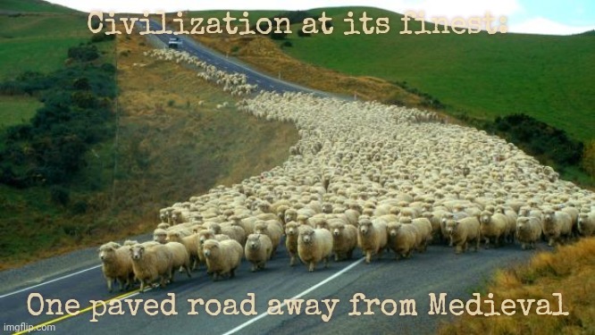 sheep | Civilization at its finest: One paved road away from Medieval | image tagged in sheep | made w/ Imgflip meme maker