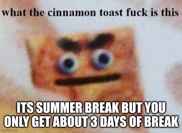 what the cinnamon toast f^%$ is this | ITS SUMMER BREAK BUT YOU ONLY GET ABOUT 3 DAYS OF BREAK | image tagged in what the cinnamon toast f is this | made w/ Imgflip meme maker