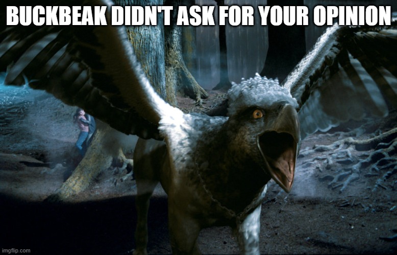 Used in comment | BUCKBEAK DIDN'T ASK FOR YOUR OPINION | image tagged in buckbeak charging | made w/ Imgflip meme maker
