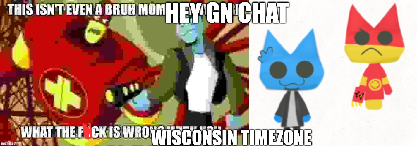 Gn chat hoooonk shooooo hooonk shooooo | HEY GN CHAT; WISCONSIN TIMEZONE | image tagged in this isn't even a bruh moment anymore,why tho | made w/ Imgflip meme maker