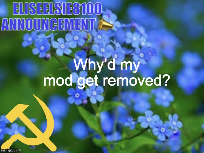 Did another purge happen? | Why’d my mod get removed? | image tagged in elizabeth won t shut up about antisemitism so i won t shut up ab | made w/ Imgflip meme maker