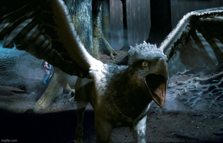 Used in comment | image tagged in buckbeak charging | made w/ Imgflip meme maker