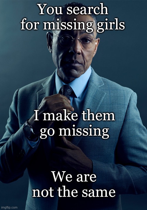 Missing girls | You search for missing girls; I make them go missing; We are not the same | image tagged in gus fring we are not the same,missing,wait what,girls | made w/ Imgflip meme maker