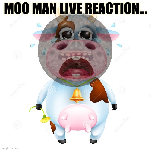 MOO MAN LIVE REACTION... | made w/ Imgflip meme maker