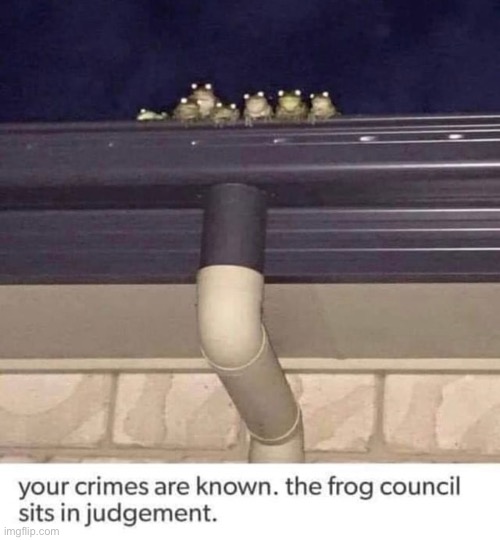 The frogs have chosen | made w/ Imgflip meme maker
