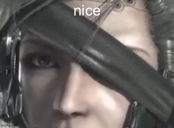Raiden stare | nice | image tagged in raiden stare | made w/ Imgflip meme maker