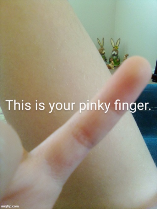 This is your pinky finger | image tagged in this is your pinky finger | made w/ Imgflip meme maker