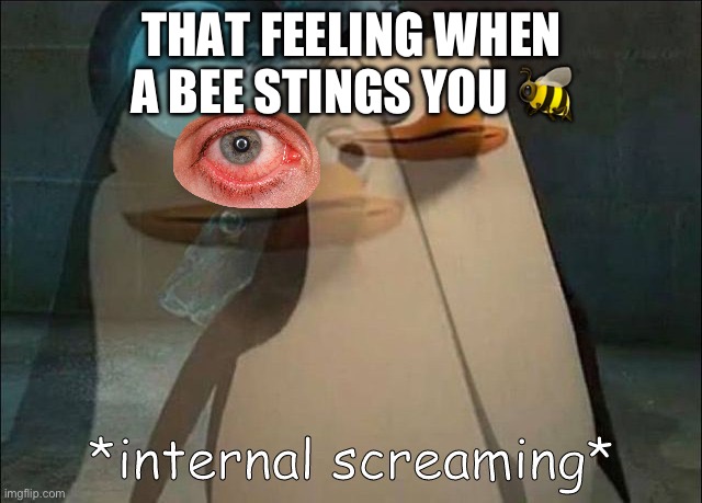 Bees be like | THAT FEELING WHEN A BEE STINGS YOU 🐝 | image tagged in private internal screaming | made w/ Imgflip meme maker