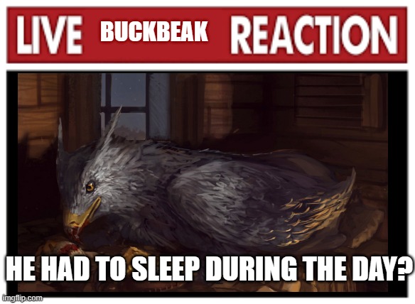 BUCKBEAK; HE HAD TO SLEEP DURING THE DAY? | made w/ Imgflip meme maker