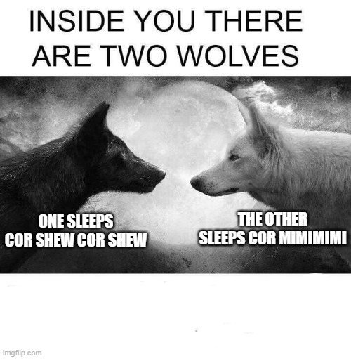 Inside you there are two wolves | THE OTHER SLEEPS COR MIMIMIMI; ONE SLEEPS COR SHEW COR SHEW | image tagged in inside you there are two wolves,memes,so unfunny | made w/ Imgflip meme maker