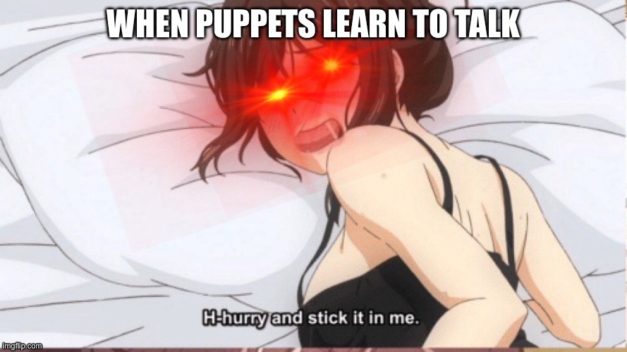 H-Hurry stick it in | WHEN PUPPETS LEARN TO TALK | image tagged in h-hurry stick it in | made w/ Imgflip meme maker