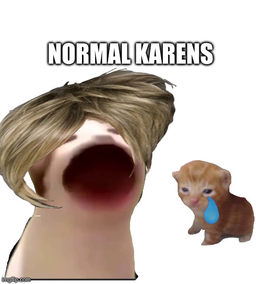 NORMAL KARENS | image tagged in funny memes | made w/ Imgflip meme maker