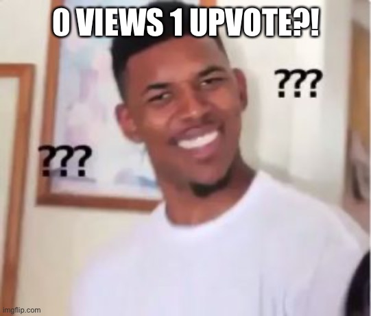 Nick Young | 0 VIEWS 1 UPVOTE?! | image tagged in nick young | made w/ Imgflip meme maker