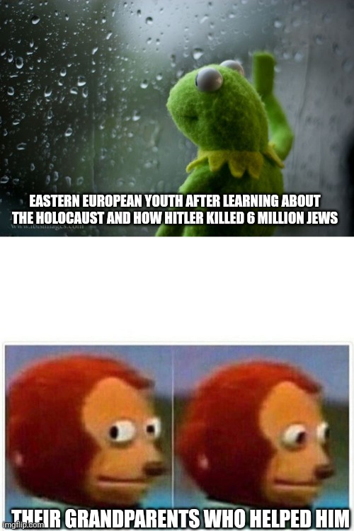 EASTERN EUROPEAN YOUTH AFTER LEARNING ABOUT THE HOLOCAUST AND HOW HITLER KILLED 6 MILLION JEWS; THEIR GRANDPARENTS WHO HELPED HIM | image tagged in kermit window,memes,monkey puppet | made w/ Imgflip meme maker