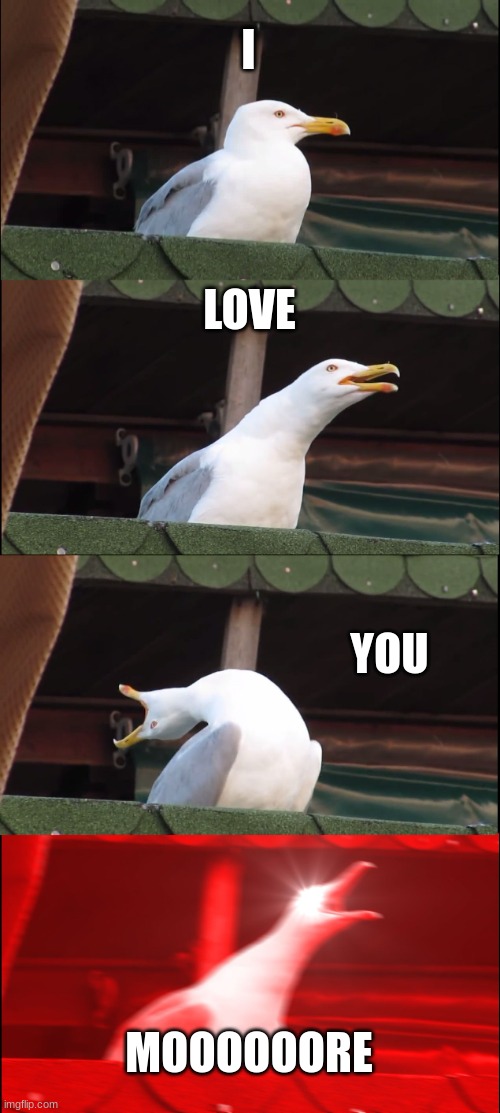 Inhaling Seagull | I; LOVE; YOU; MOOOOOORE | image tagged in memes,inhaling seagull | made w/ Imgflip meme maker