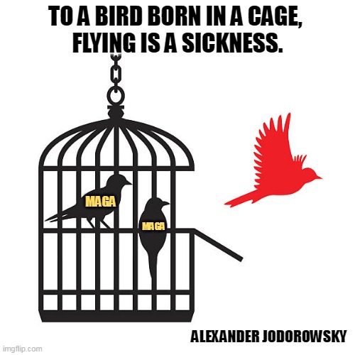 TO A BIRD BORN IN A CAGE, 
FLYING IS A SICKNESS. MAGA; MAGA; ALEXANDER JODOROWSKY | image tagged in bird,cage,freedom,sickness,maga | made w/ Imgflip meme maker