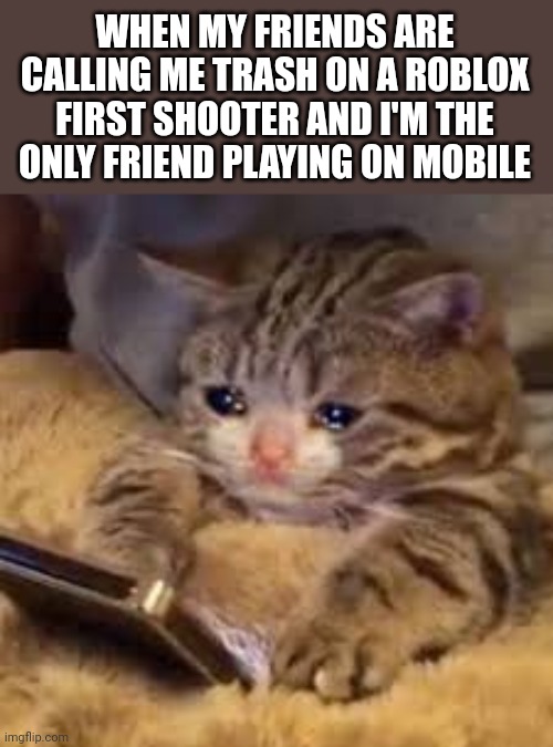 Am I really that bad, Yes but it hurts | WHEN MY FRIENDS ARE CALLING ME TRASH ON A ROBLOX FIRST SHOOTER AND I'M THE ONLY FRIEND PLAYING ON MOBILE | image tagged in sad cat looking at phone,memes,funny,sad but true | made w/ Imgflip meme maker