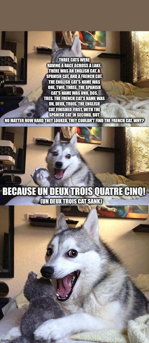 French number pun. | THREE CATS WERE HAVING A RACE ACROSS A LAKE. THERE WAS AN ENGLISH CAT, A SPANISH CAT, AND A FRENCH CAT. THE ENGLISH CAT'S NAME WAS ONE, TWO, THREE. THE SPANISH CAT'S NAME WAS UNO, DOS, TRES. THE FRENCH CAT'S NAME WAS UN, DEUX, TROIS. THE ENGLISH CAT FINISHED FIRST, WITH THE SPANISH CAT IN SECOND. BUT NO MATTER HOW HARD THEY LOOKED, THEY COULDN'T FIND THE FRENCH CAT. WHY? BECAUSE UN DEUX TROIS QUATRE CINQ! (UN DEUX TROIS CAT SANK) | image tagged in memes,bad pun dog,french,number,pun | made w/ Imgflip meme maker