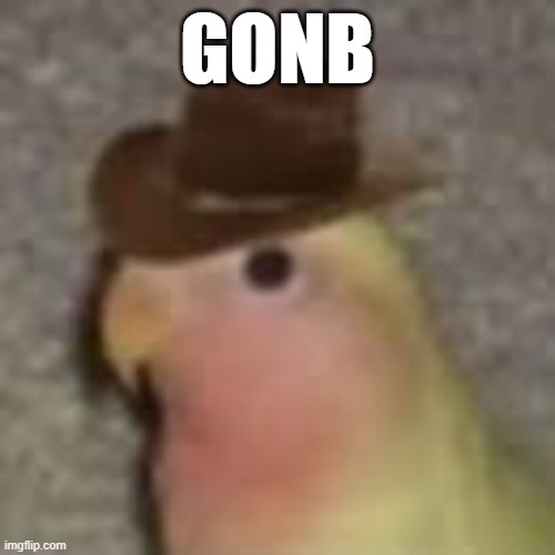 Gonb | GONB | image tagged in gonb | made w/ Imgflip meme maker