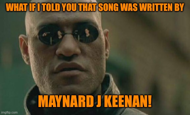 Matrix Morpheus Meme | WHAT IF I TOLD YOU THAT SONG WAS WRITTEN BY MAYNARD J KEENAN! | image tagged in memes,matrix morpheus | made w/ Imgflip meme maker