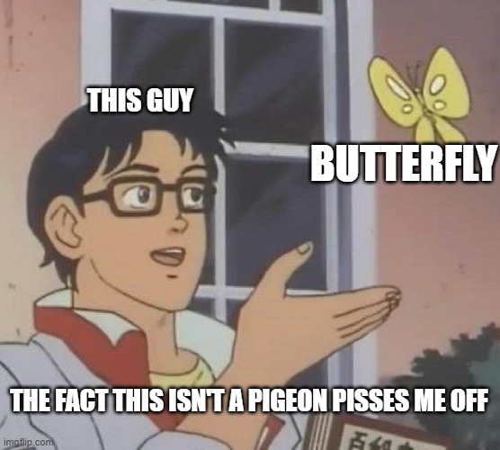 I mean, the tag asks as well. | THIS GUY; BUTTERFLY; THE FACT THIS ISN'T A PIGEON PISSES ME OFF | image tagged in memes,is this a pigeon | made w/ Imgflip meme maker