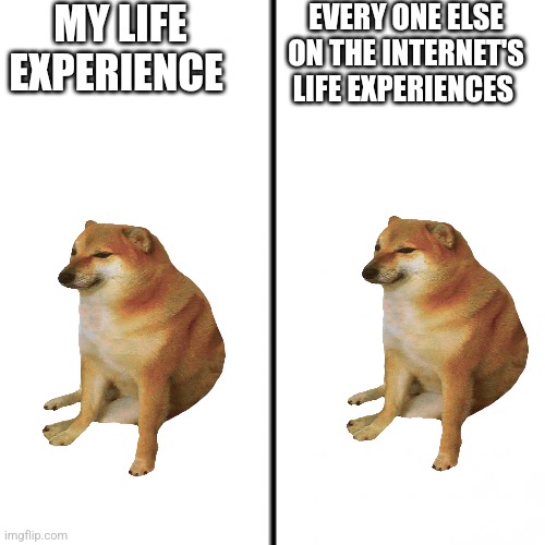 Does everyone just live the same life?! | MY LIFE EXPERIENCE; EVERY ONE ELSE ON THE INTERNET'S LIFE EXPERIENCES | image tagged in life,same | made w/ Imgflip meme maker