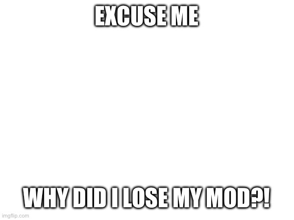 It’s not just me, a heck ton of people did | EXCUSE ME; WHY DID I LOSE MY MOD?! | made w/ Imgflip meme maker