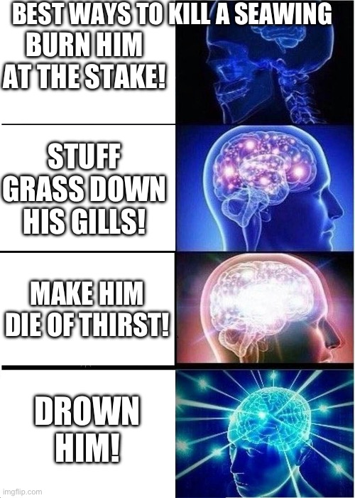 Drown Him! Like how smart you are | BURN HIM AT THE STAKE! BEST WAYS TO KILL A SEAWING; STUFF GRASS DOWN HIS GILLS! MAKE HIM DIE OF THIRST! DROWN HIM! | image tagged in memes,expanding brain,wings of fire | made w/ Imgflip meme maker