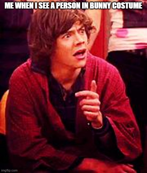 ME WHEN I SEE A PERSON IN BUNNY COSTUME | image tagged in shocked one direction | made w/ Imgflip meme maker