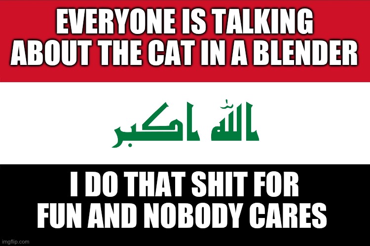Joke | EVERYONE IS TALKING ABOUT THE CAT IN A BLENDER; I DO THAT SHIT FOR FUN AND NOBODY CARES | image tagged in flag of iraq | made w/ Imgflip meme maker