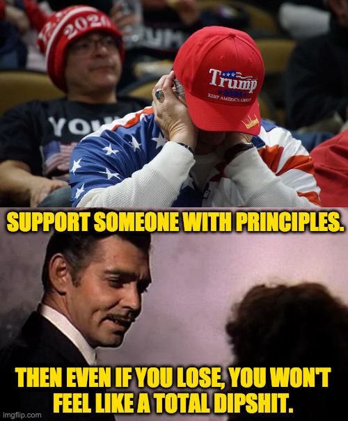 Try it. | SUPPORT SOMEONE WITH PRINCIPLES. THEN EVEN IF YOU LOSE, YOU WON'T
FEEL LIKE A TOTAL DIPSHIT. | image tagged in memes,try it | made w/ Imgflip meme maker