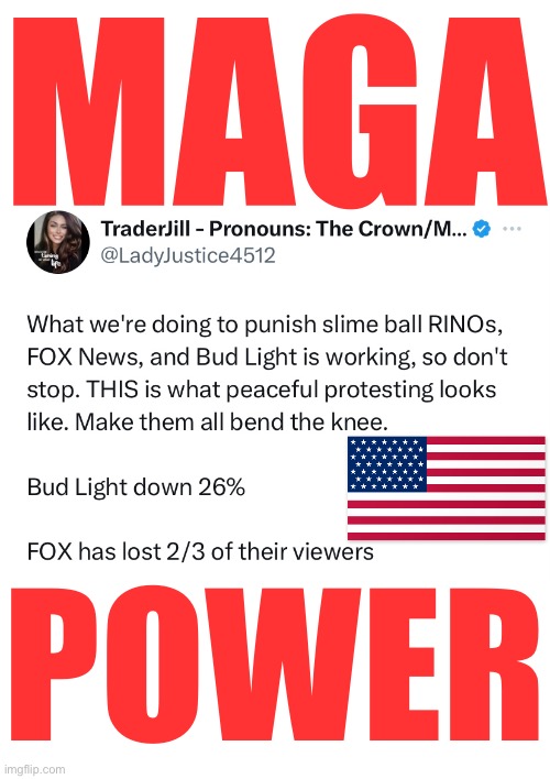 MAGA 4EVR! | MAGA; POWER | image tagged in president trump,donald trump,president,maga,america,american flag | made w/ Imgflip meme maker