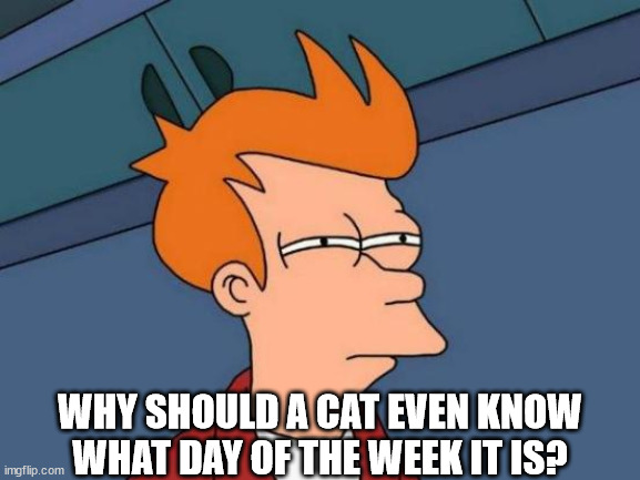 Futurama Fry Meme | WHY SHOULD A CAT EVEN KNOW WHAT DAY OF THE WEEK IT IS? | image tagged in memes,futurama fry | made w/ Imgflip meme maker