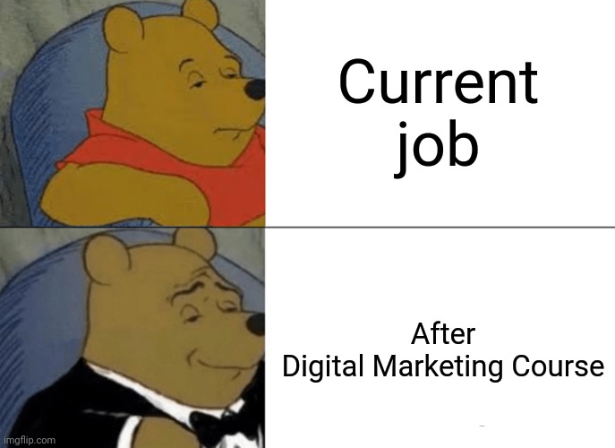 Tuxedo Winnie The Pooh | Current job; After 
Digital Marketing Course | image tagged in memes,tuxedo winnie the pooh | made w/ Imgflip meme maker