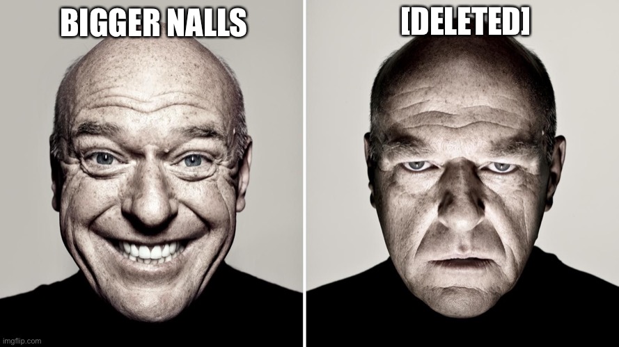 Dean Norris's reaction | [DELETED]; BIGGER NALLS | image tagged in dean norris's reaction | made w/ Imgflip meme maker