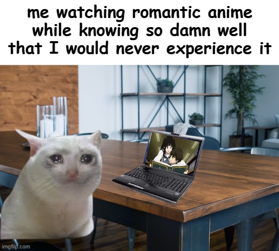 D: | me watching romantic anime while knowing so damn well that I would never experience it | image tagged in memes,meme,funny,funny memes,funny meme,lol so funny | made w/ Imgflip meme maker